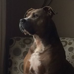 Meet your Posher, Kathleen